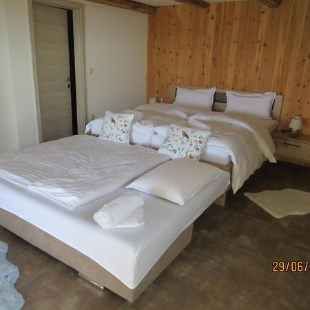 Studio 1111 With Sauna & Hot Tub Dravograd Kültér fotó