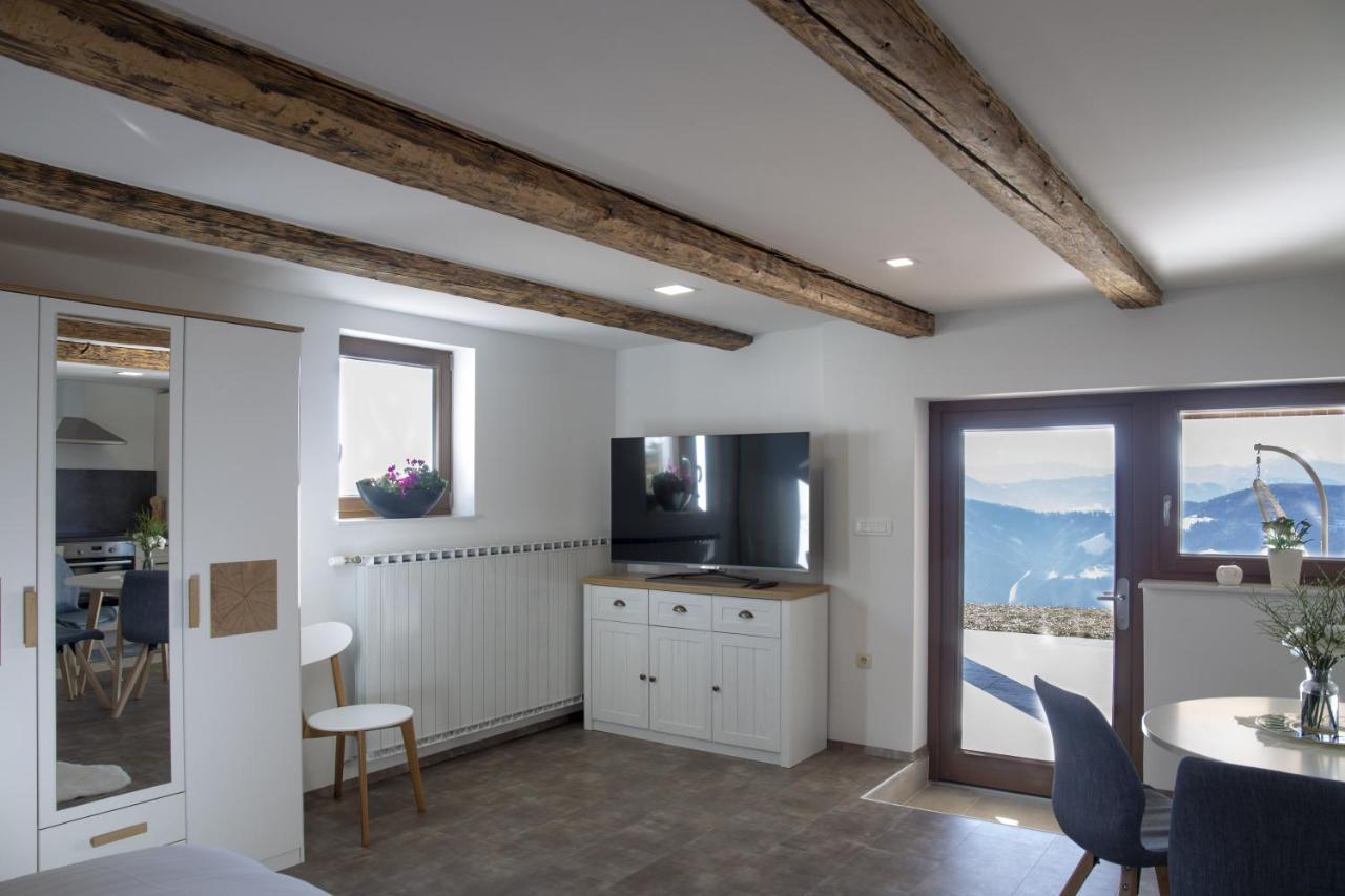 Studio 1111 With Sauna & Hot Tub Dravograd Kültér fotó