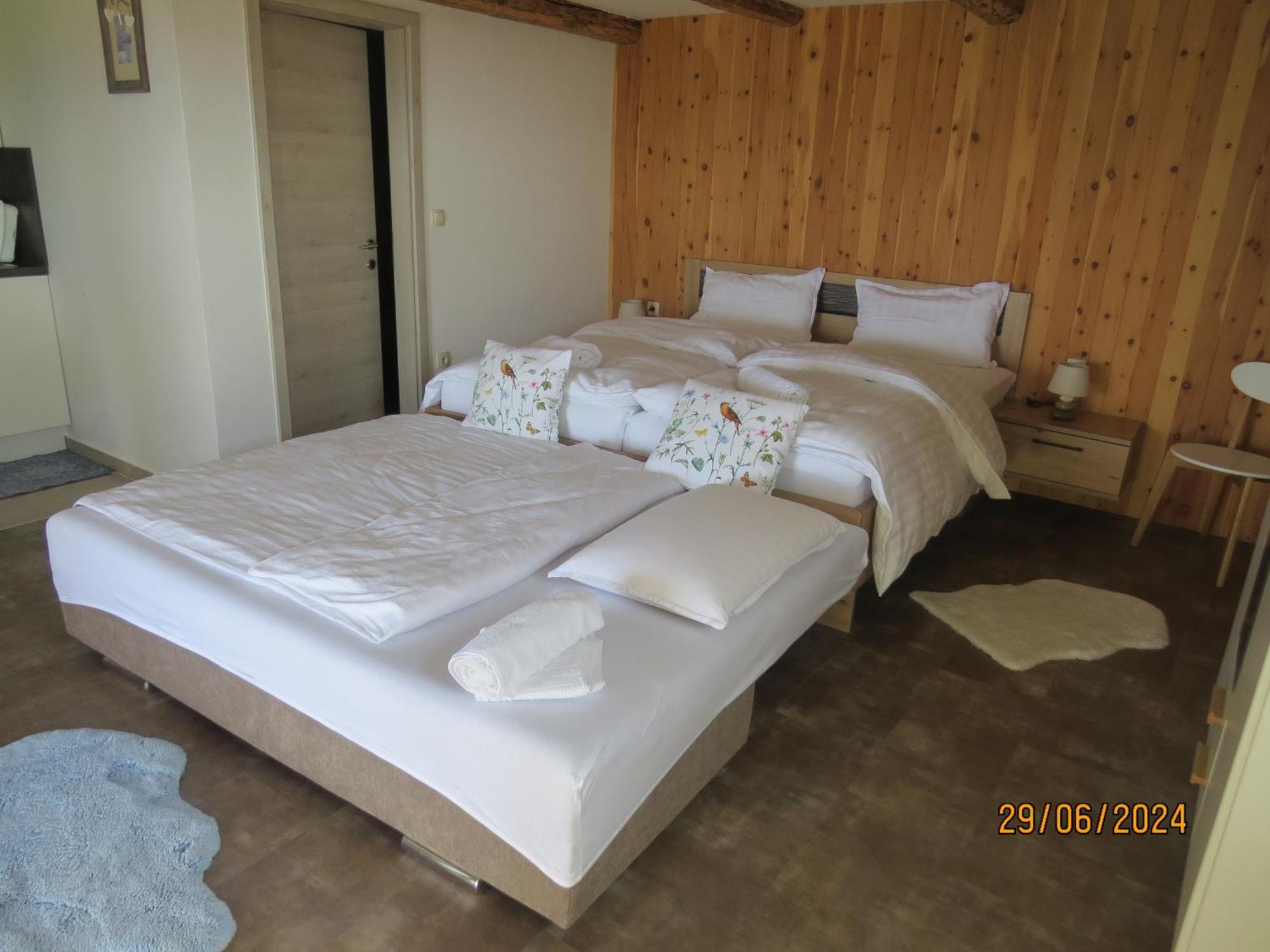 Studio 1111 With Sauna & Hot Tub Dravograd Kültér fotó